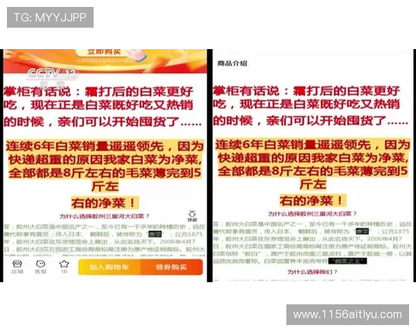 2025年白菜最新市场批发价格及趋势分析